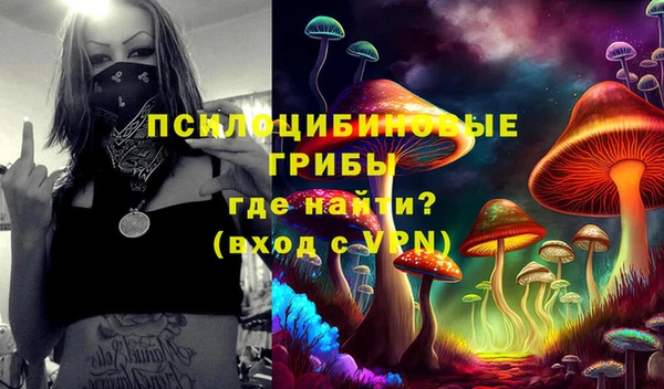 PSILOCYBIN Белоозёрский