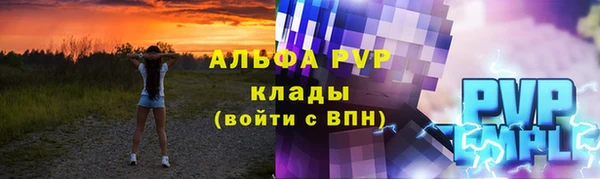 ГАЛЛЮЦИНОГЕННЫЕ ГРИБЫ Белокуриха