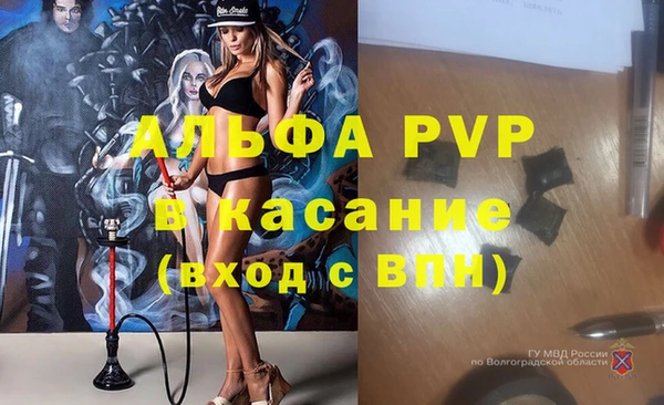 PSILOCYBIN Белоозёрский
