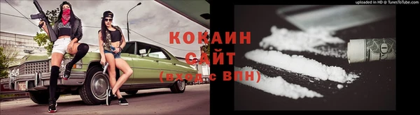 ГАЛЛЮЦИНОГЕННЫЕ ГРИБЫ Белокуриха