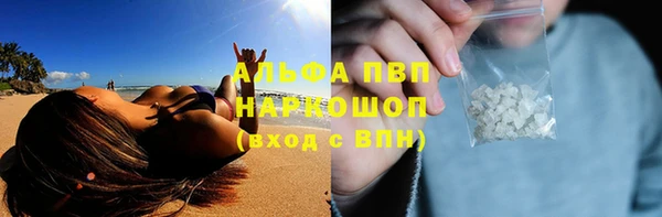 PSILOCYBIN Белоозёрский