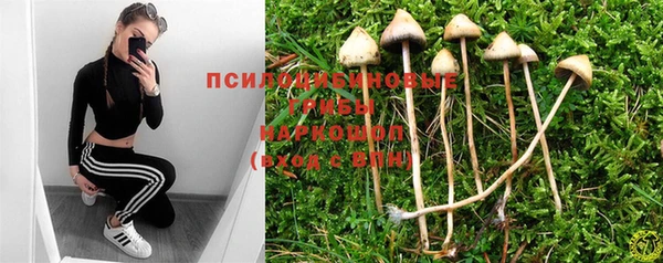 прущий лед Беломорск