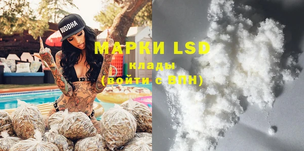 PSILOCYBIN Белоозёрский