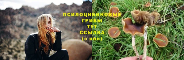 PSILOCYBIN Белоозёрский