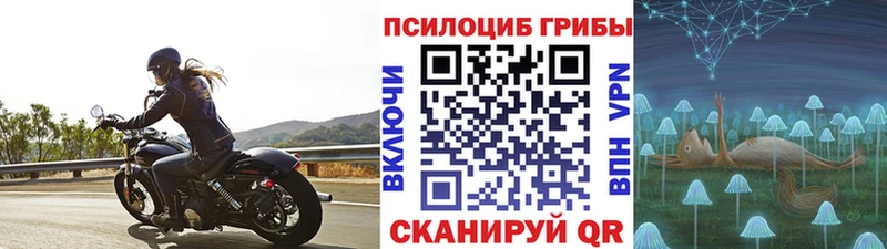 Псилоцибиновые грибы мухоморы  Городовиковск 